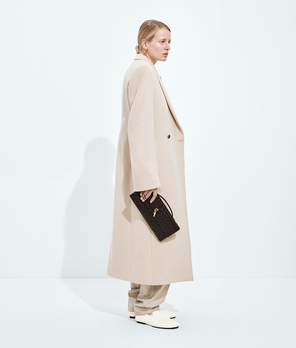 Bottega Veneta Andiamo Clutch