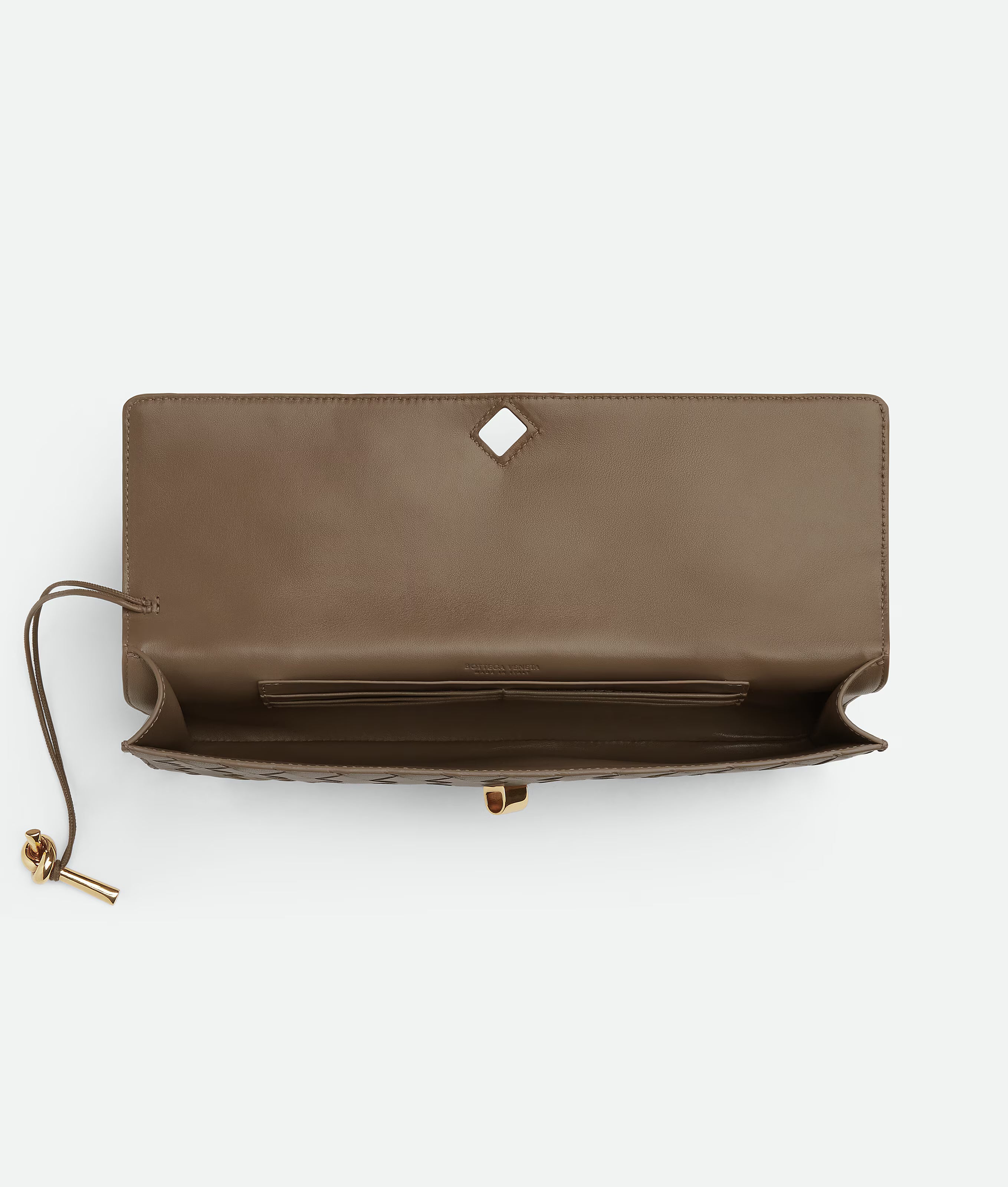Bottega Veneta Andiamo Clutch