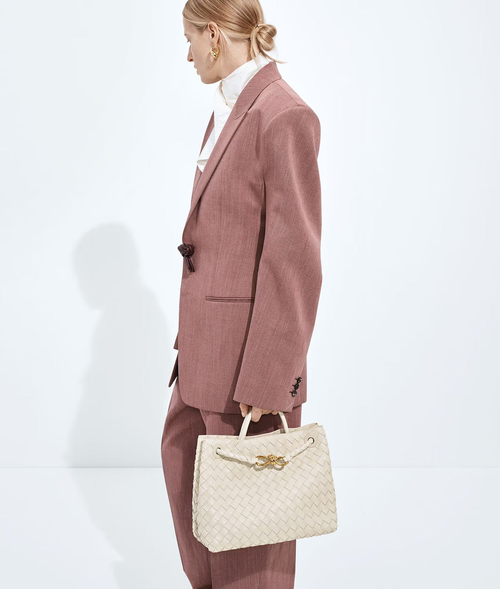 Bottega Veneta Andiamo Medium