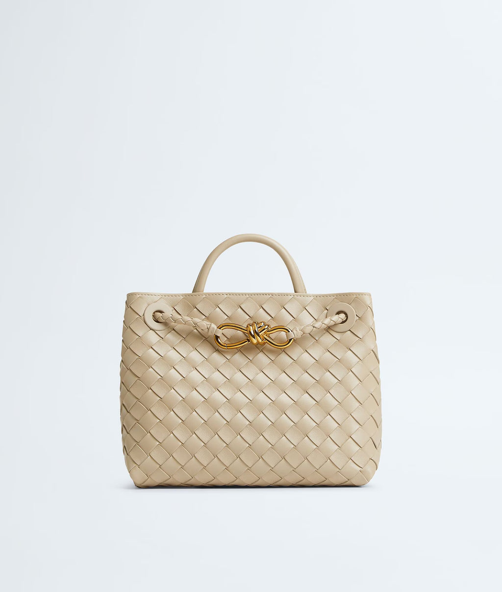 Bottega Veneta Andiamo Small