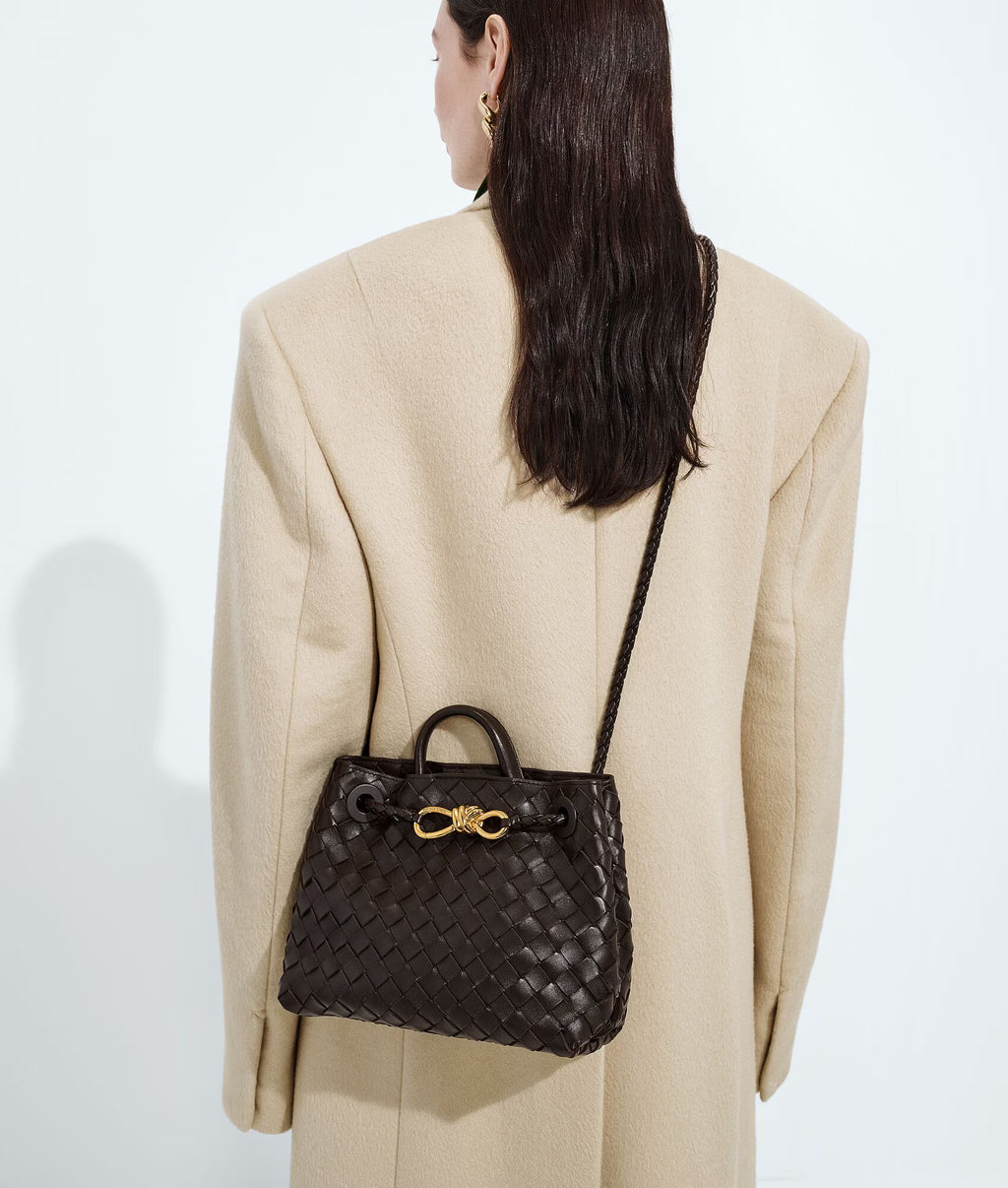 Bottega Veneta Andiamo Small