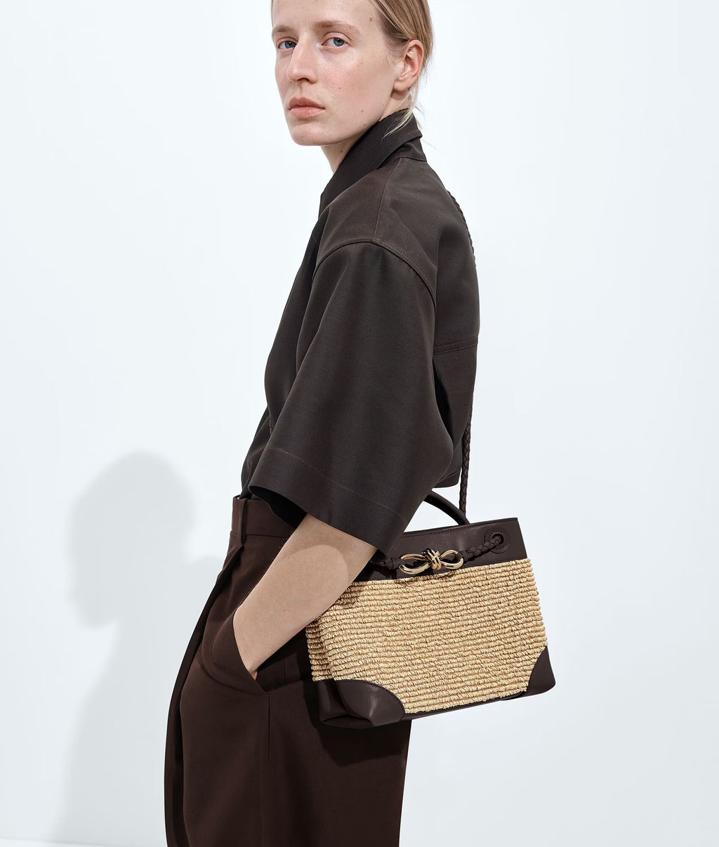 Bottega Veneta Andiamo Small