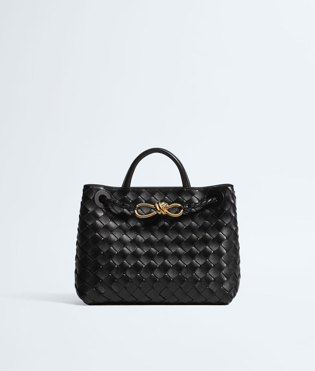Bottega Veneta Andiamo Small