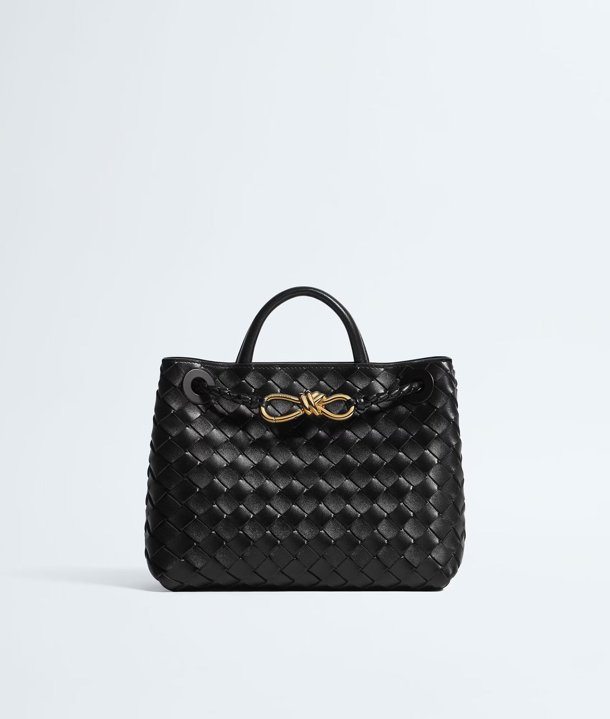Bottega Veneta Andiamo Small