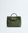 Bottega Veneta Andiamo Small Suede