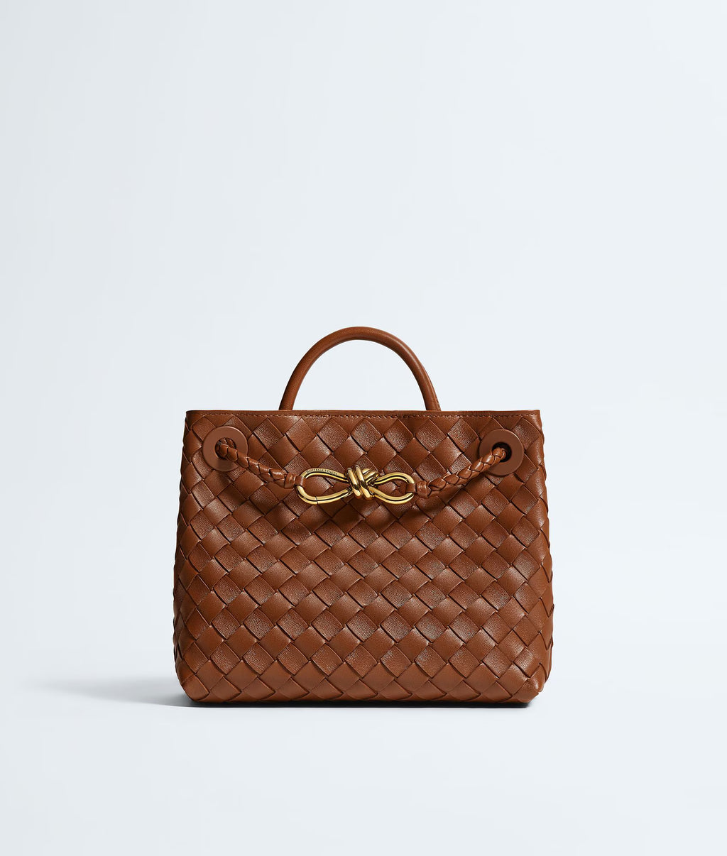 Bottega Veneta Andiamo Small