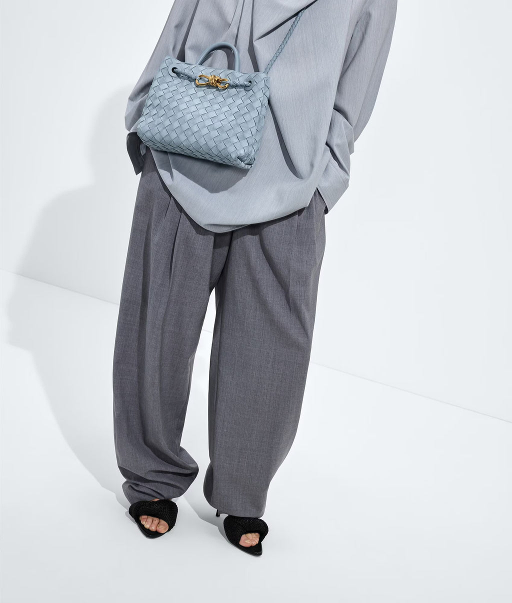 Bottega Veneta Andiamo Small Suede