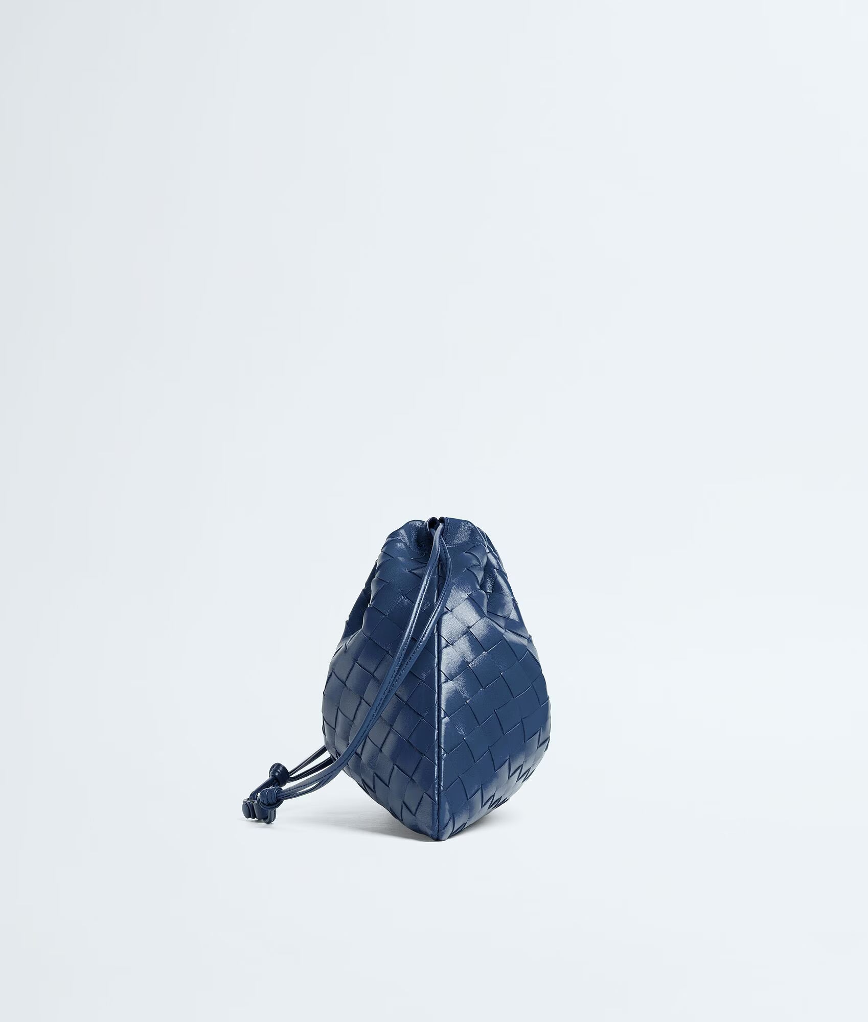 Bottega Veneta Dust Bag