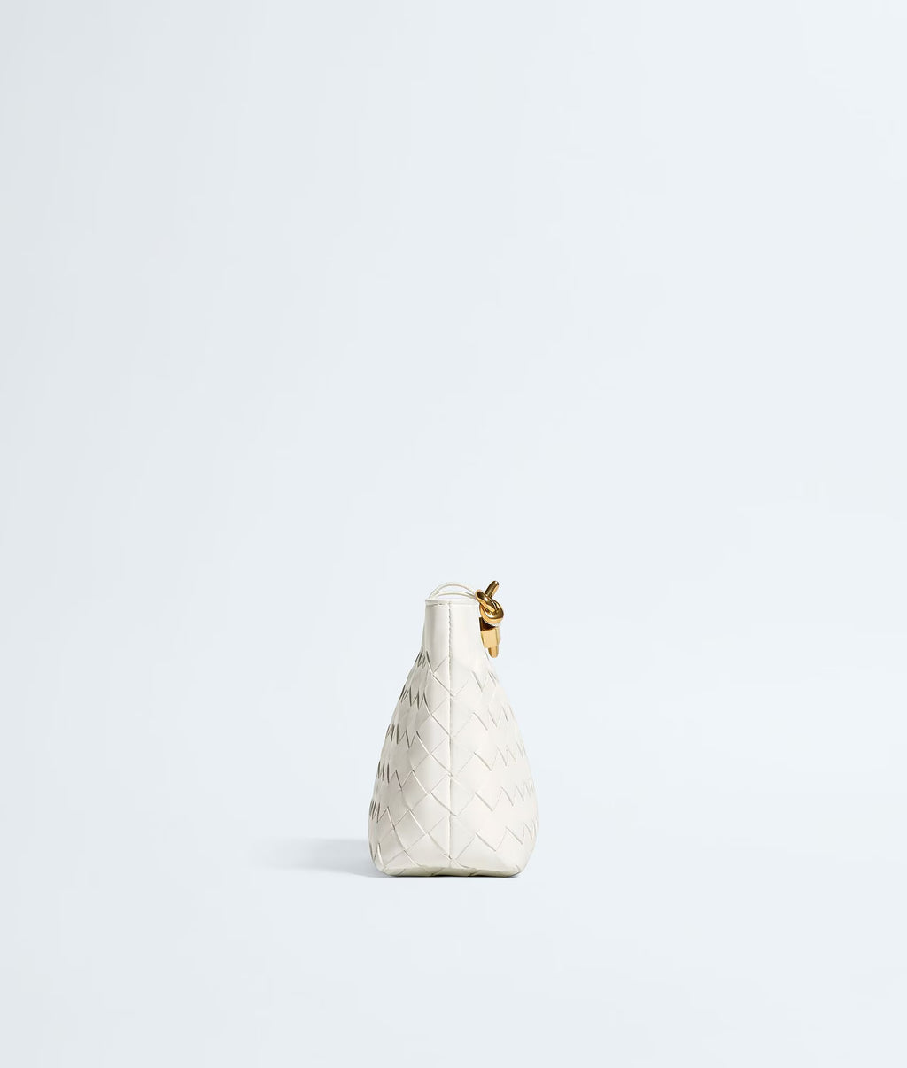 Bottega Veneta Andiamo Pochette