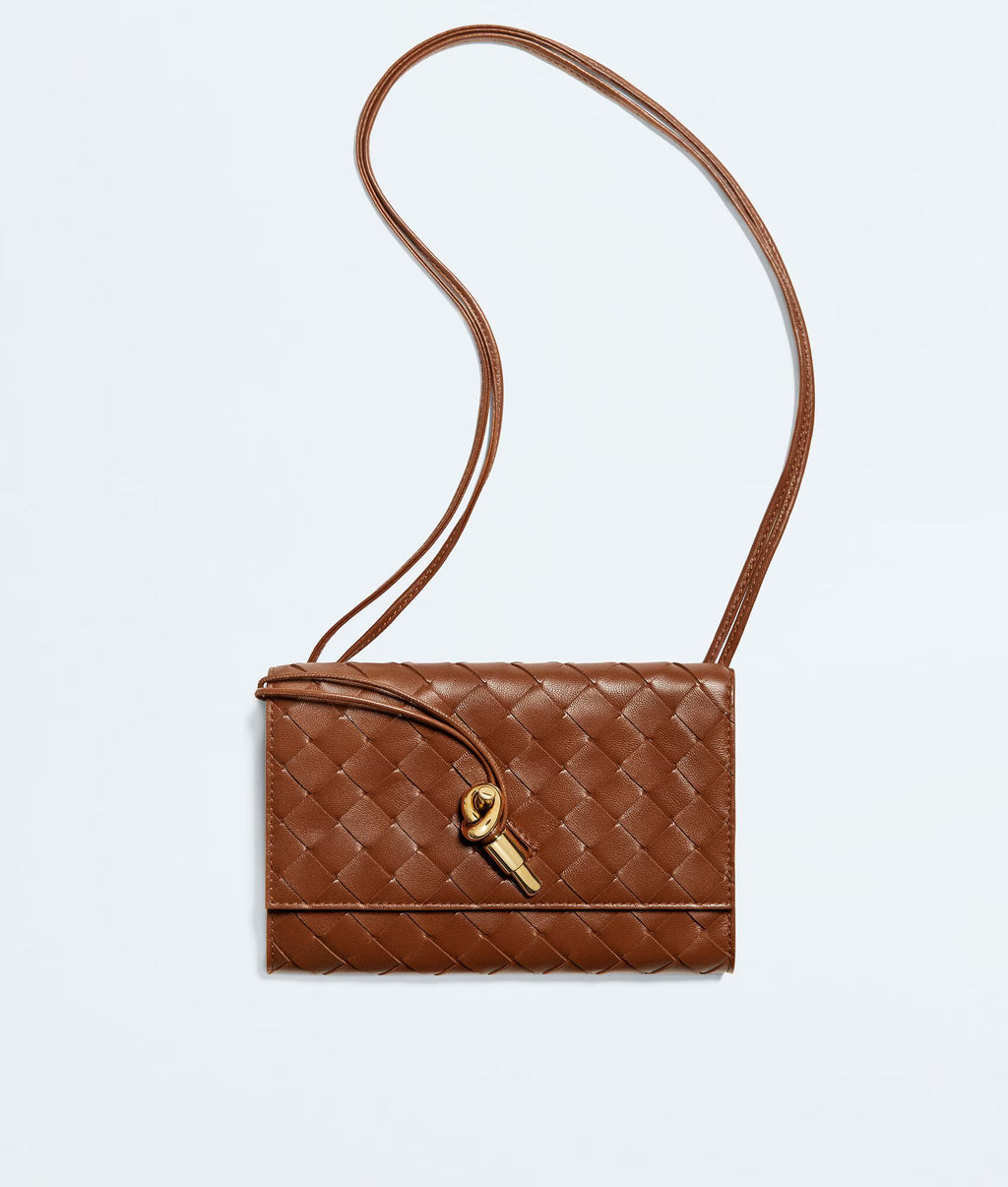 Bottega Veneta Andiamo Pochette