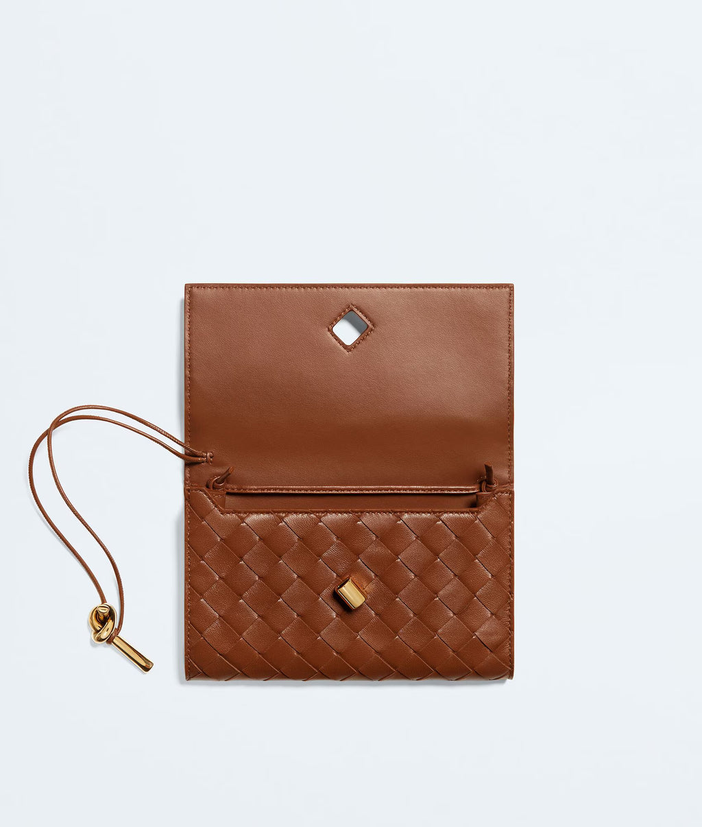 Bottega Veneta Andiamo Pochette
