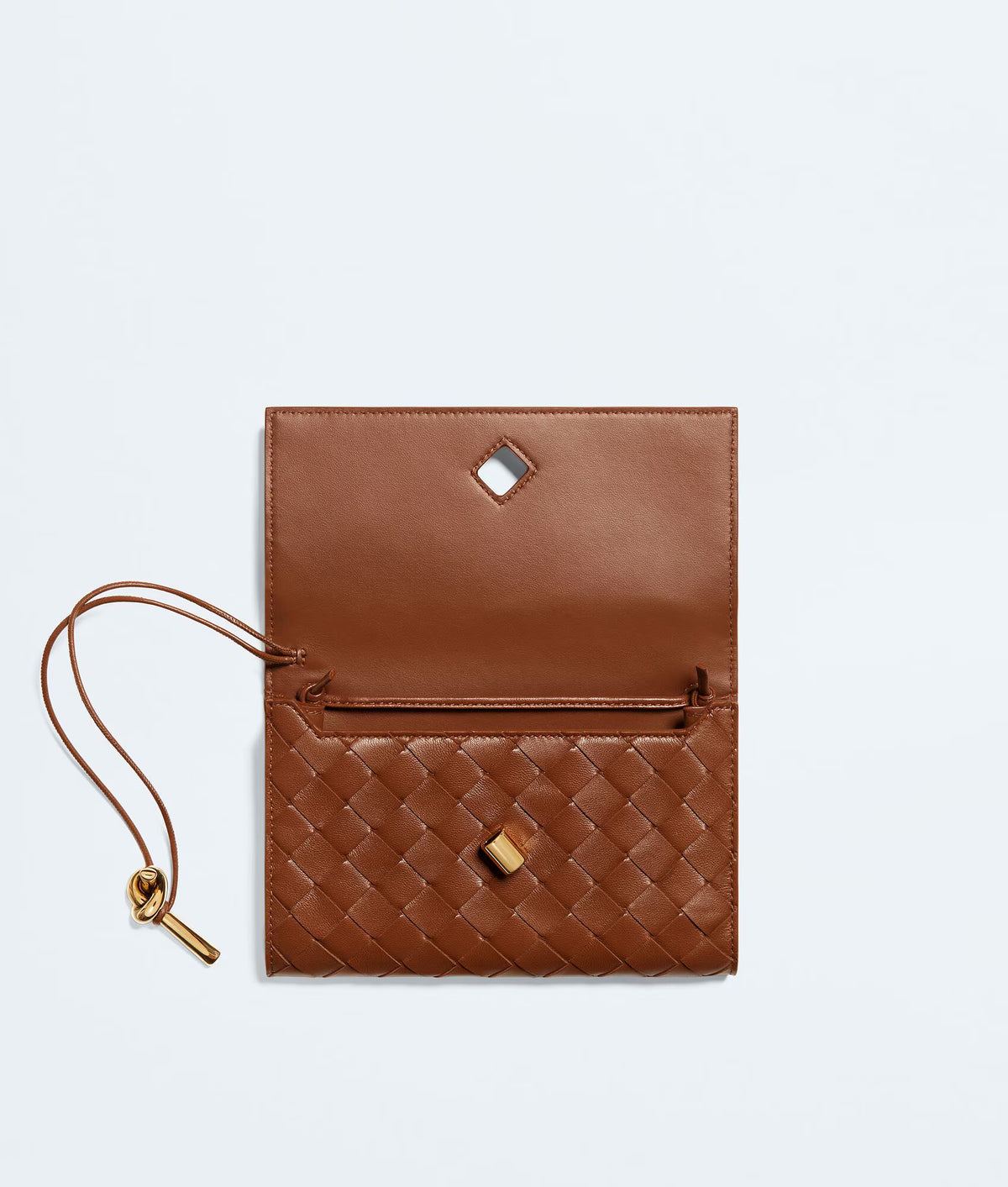 Bottega Veneta Andiamo Pochette