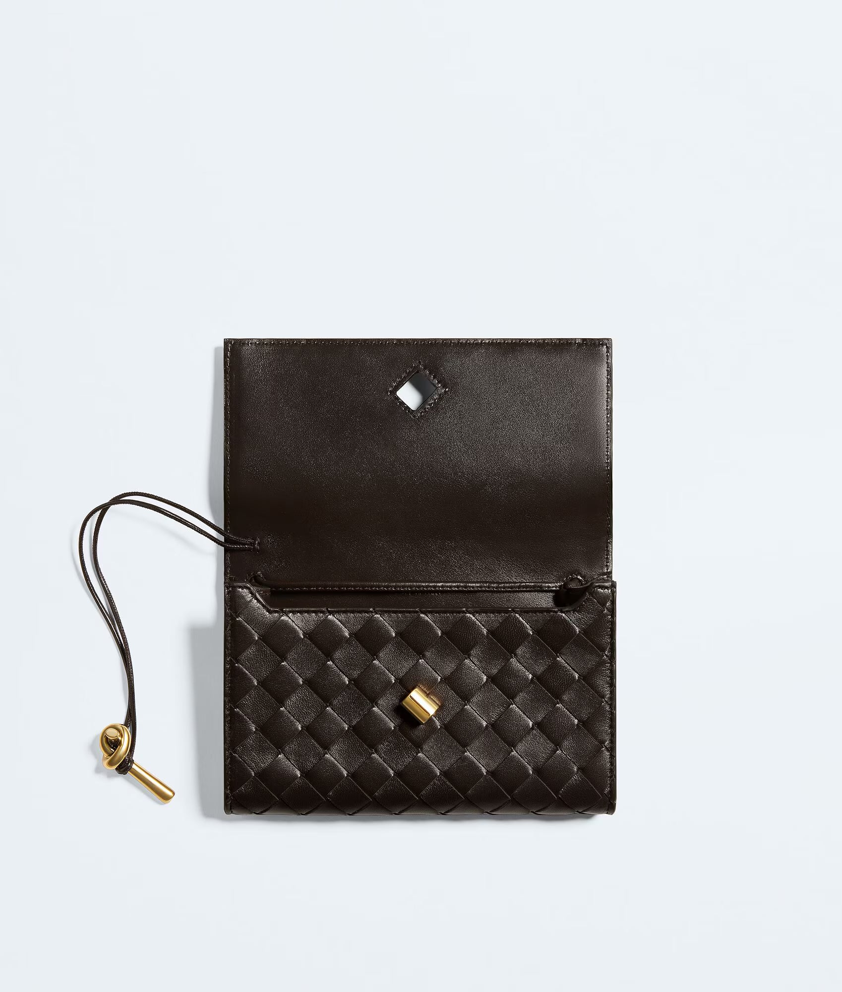 Bottega Veneta Pochette