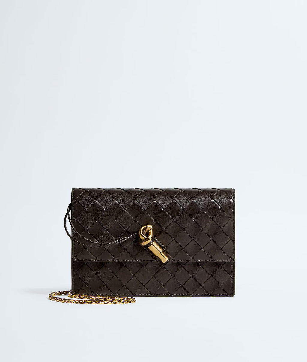 Bottega Veneta Chain Pochette