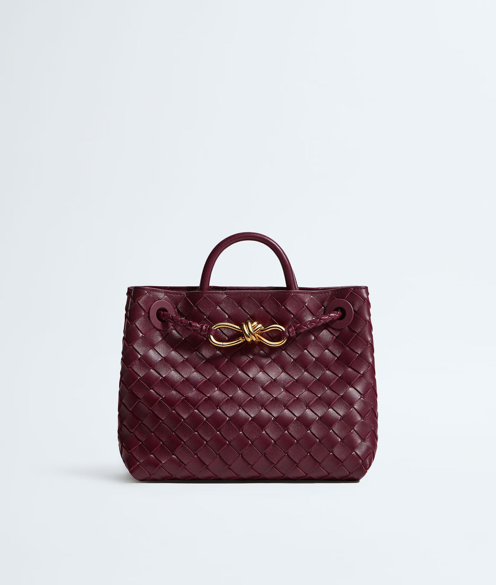 Bottega Veneta Andiamo Small