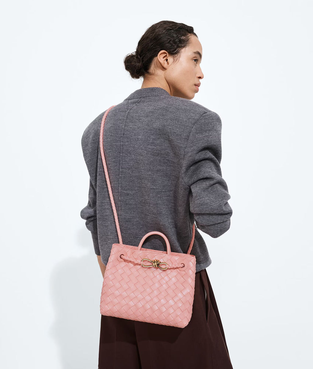 Bottega Veneta Andiamo Small