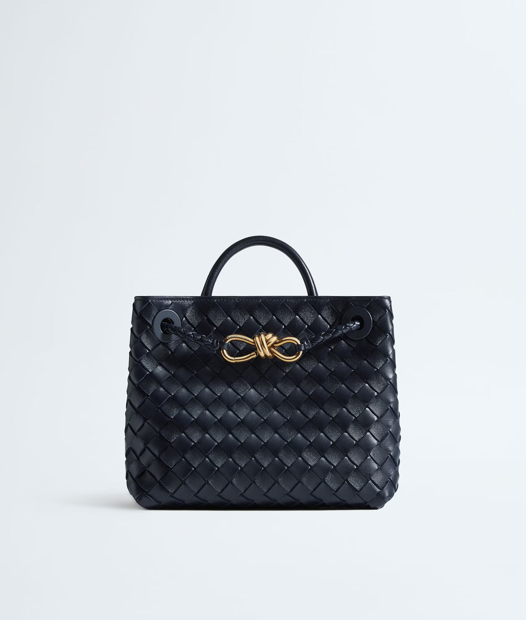 Bottega Veneta Andiamo Small