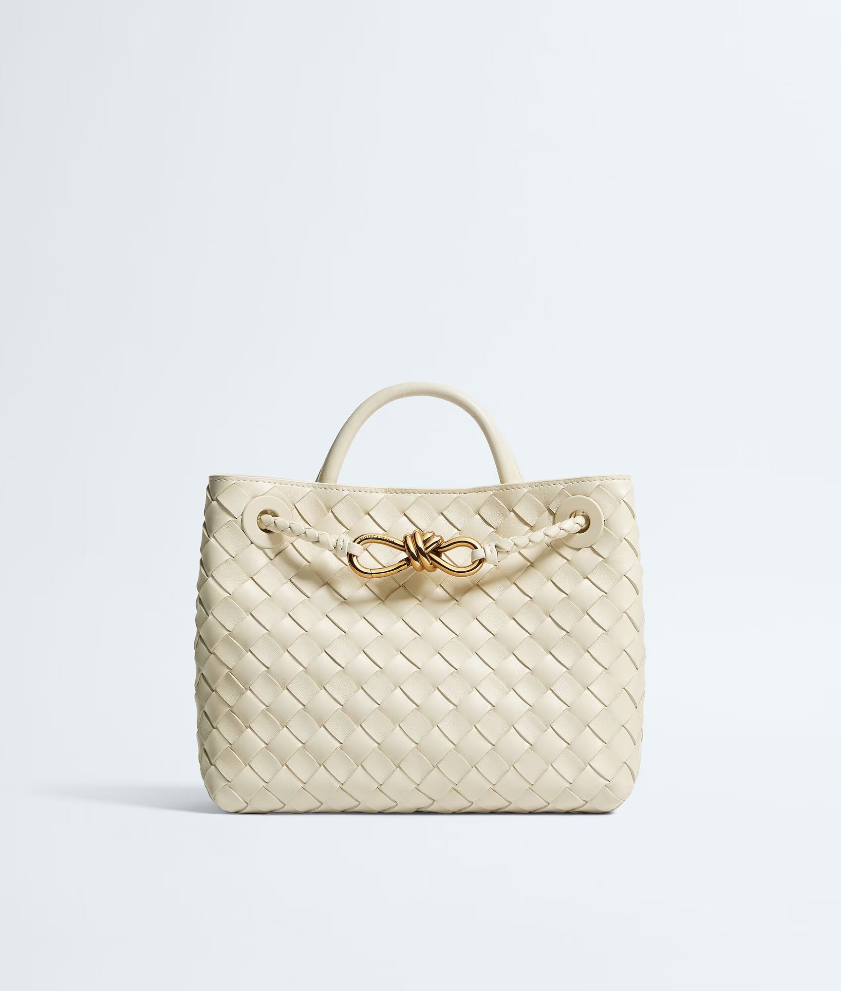 Bottega Veneta Andiamo Small